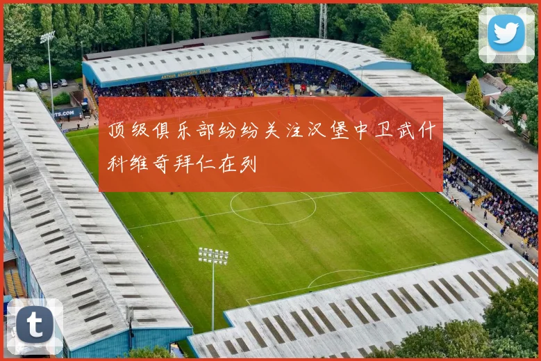顶级俱乐部纷纷关注汉堡中卫武什科维奇拜仁在列