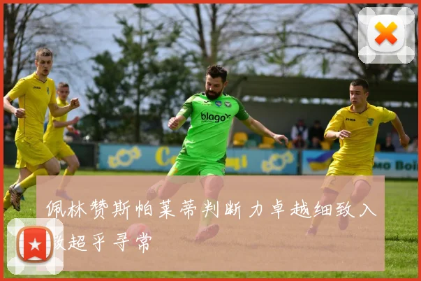 佩林赞斯帕莱蒂判断力卓越细致入微超乎寻常