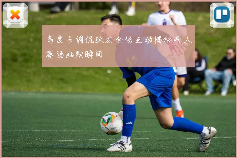 乌度卡调侃狄龙全场互动揭秘两人赛场幽默瞬间